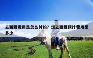 去西藏费用是怎么付的？想去西藏预计费用是多少