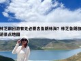 林芝跟团游有无必要去鲁朗林海？林芝鲁朗旅游景点地图