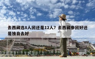 去西藏选8人团还是12人？去西藏参团好还是独自去好