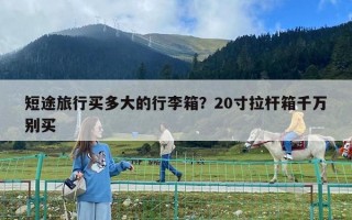 短途旅行买多大的行李箱？20寸拉杆箱千万别买