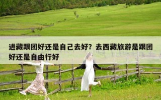 进藏跟团好还是自己去好？去西藏旅游是跟团好还是自由行好