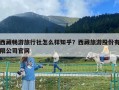 西藏畅游旅行社怎么样知乎？西藏旅游股份有限公司官网