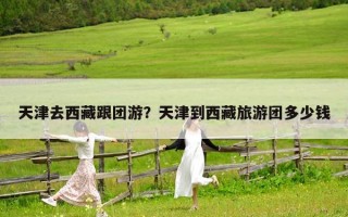 天津去西藏跟团游？天津到西藏旅游团多少钱