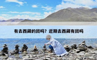 有去西藏的团吗？近期去西藏有团吗