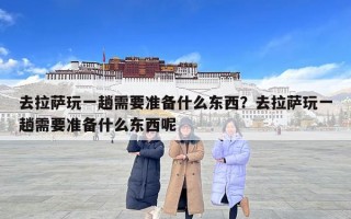去拉萨玩一趟需要准备什么东西？去拉萨玩一趟需要准备什么东西呢