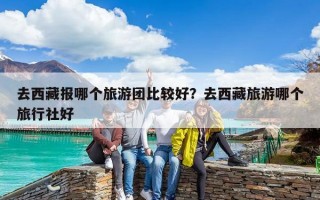 去西藏报哪个旅游团比较好？去西藏旅游哪个旅行社好