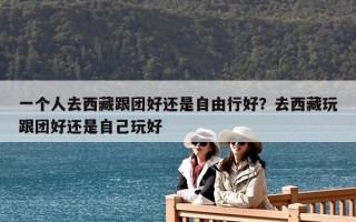 一个人去西藏跟团好还是自由行好？去西藏玩跟团好还是自己玩好