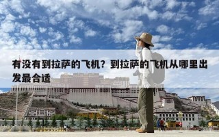 有没有到拉萨的飞机？到拉萨的飞机从哪里出发最合适