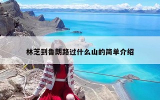 林芝到鲁朗路过什么山的简单介绍