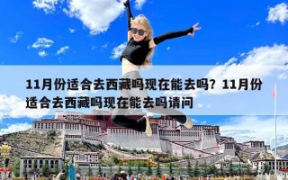 11月份适合去西藏吗现在能去吗？11月份适合去西藏吗现在能去吗请问