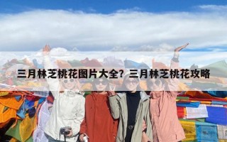 三月林芝桃花图片大全？三月林芝桃花攻略