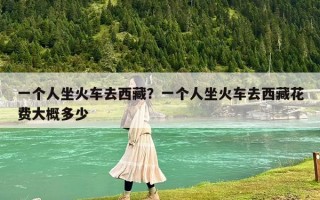 一个人坐火车去西藏？一个人坐火车去西藏花费大概多少