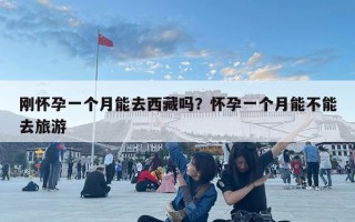 刚怀孕一个月能去西藏吗？怀孕一个月能不能去旅游