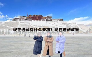 现在进藏有什么要求？现在进藏政策