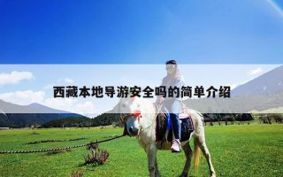 西藏本地导游安全吗的简单介绍
