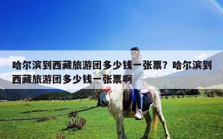 哈尔滨到西藏旅游团多少钱一张票？哈尔滨到西藏旅游团多少钱一张票啊