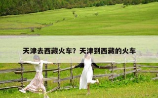 天津去西藏火车？天津到西藏的火车