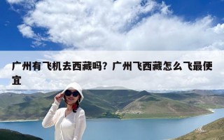 广州有飞机去西藏吗？广州飞西藏怎么飞最便宜