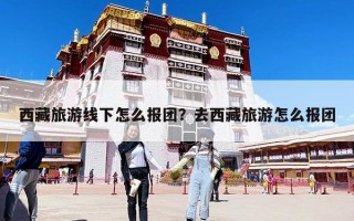 西藏旅游线下怎么报团？去西藏旅游怎么报团