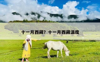 十一月西藏？十一月西藏温度
