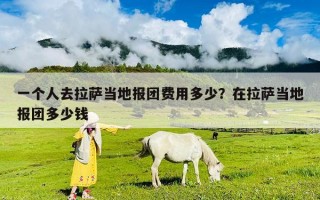 一个人去拉萨当地报团费用多少？在拉萨当地报团多少钱
