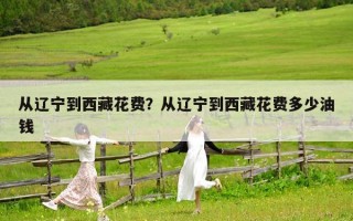 从辽宁到西藏花费？从辽宁到西藏花费多少油钱