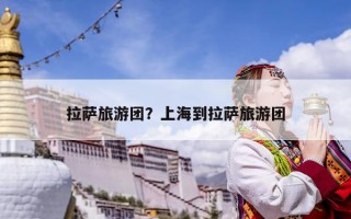 拉萨旅游团？上海到拉萨旅游团