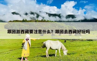 跟团游西藏要注意什么？跟团去西藏好玩吗