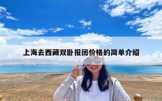 上海去西藏双卧报团价格的简单介绍