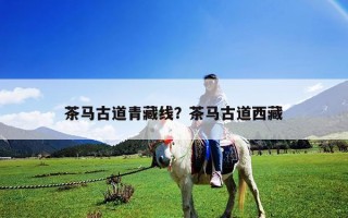 茶马古道青藏线？茶马古道西藏
