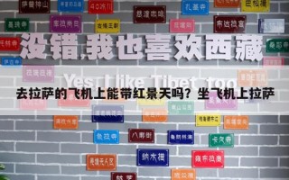 去拉萨的飞机上能带红景天吗？坐飞机上拉萨