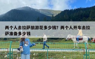 两个人去拉萨旅游花多少钱？两个人开车去拉萨准备多少钱