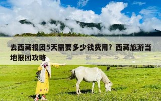 去西藏报团5天需要多少钱费用？西藏旅游当地报团攻略