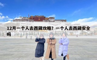 12月一个人去西藏攻略？一个人去西藏安全吗