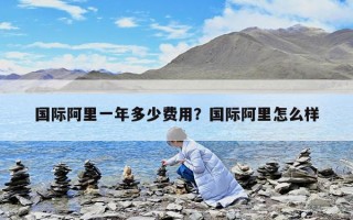 国际阿里一年多少费用？国际阿里怎么样