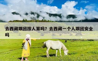 去西藏跟团按人算吗？去西藏一个人跟团安全吗