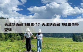 天津到西藏飞机票价？天津到西藏飞机票价格查询