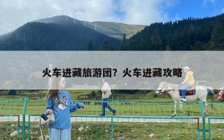 火车进藏旅游团？火车进藏攻略