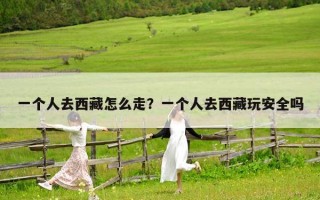 一个人去西藏怎么走？一个人去西藏玩安全吗
