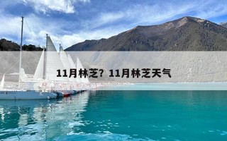 11月林芝？11月林芝天气