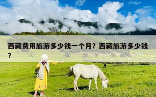 西藏费用旅游多少钱一个月？西藏旅游多少钱?