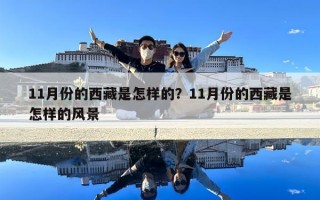 11月份的西藏是怎样的？11月份的西藏是怎样的风景