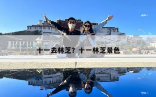 十一去林芝？十一林芝景色