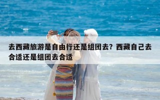 去西藏旅游是自由行还是组团去？西藏自己去合适还是组团去合适