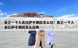 自己一个人去拉萨不跟团怎么玩？自己一个人去拉萨不跟团怎么玩呢