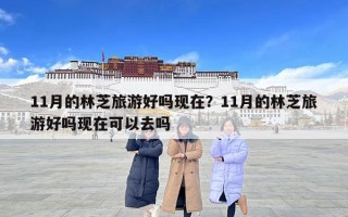 11月的林芝旅游好吗现在？11月的林芝旅游好吗现在可以去吗