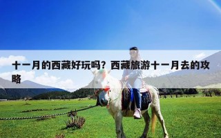 十一月的西藏好玩吗？西藏旅游十一月去的攻略