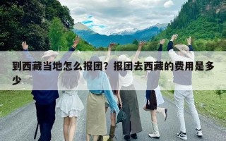 到西藏当地怎么报团？报团去西藏的费用是多少