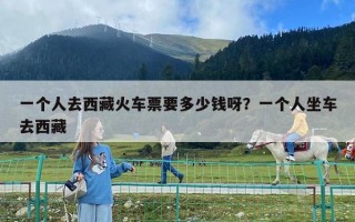一个人去西藏火车票要多少钱呀？一个人坐车去西藏