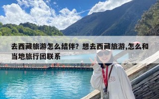 去西藏旅游怎么结伴？想去西藏旅游,怎么和当地旅行团联系